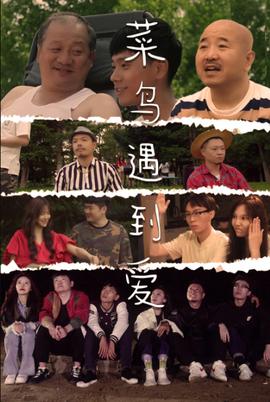 菜鸟遇到爱第02集