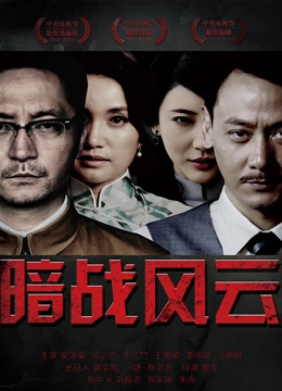 暗战风云第12集