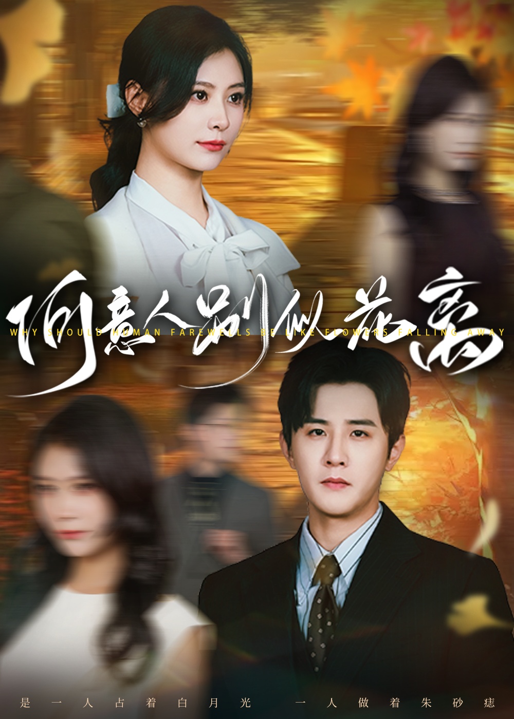 何意人别似花离(全集)