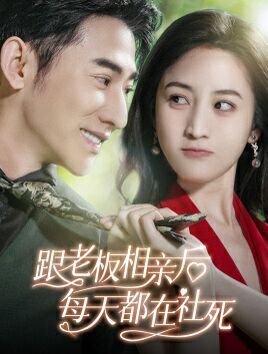 跟老板相亲后每天都在社死第21-40集