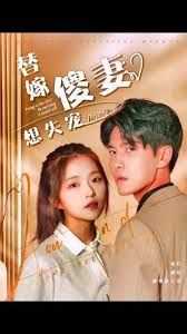 替嫁傻妻想失宠第41-60集