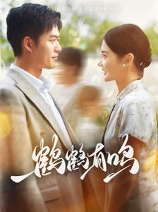 鹤鹤有鸣第1-20集