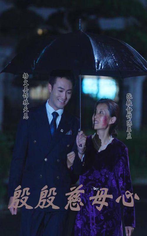 殷殷慈母心第41-56集完结(大结局)