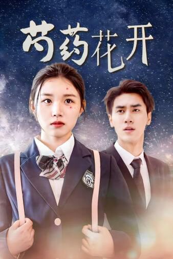 芍药花开（火光中的芍药花）第1-20集