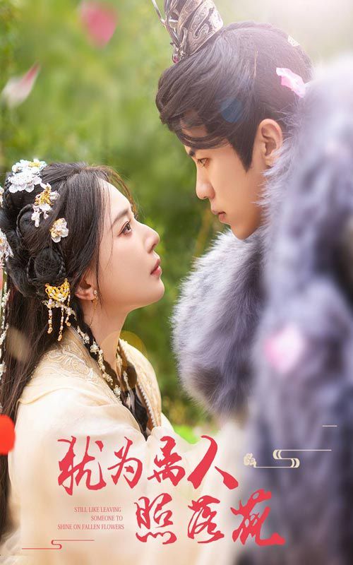 犹为离人照落花第41-60集完结(大结局)