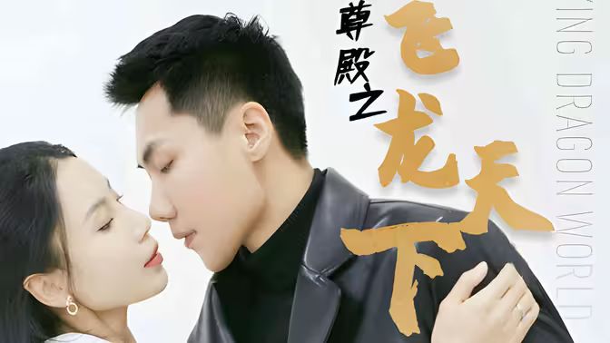 帝尊殿之飞龙天下第21-40集