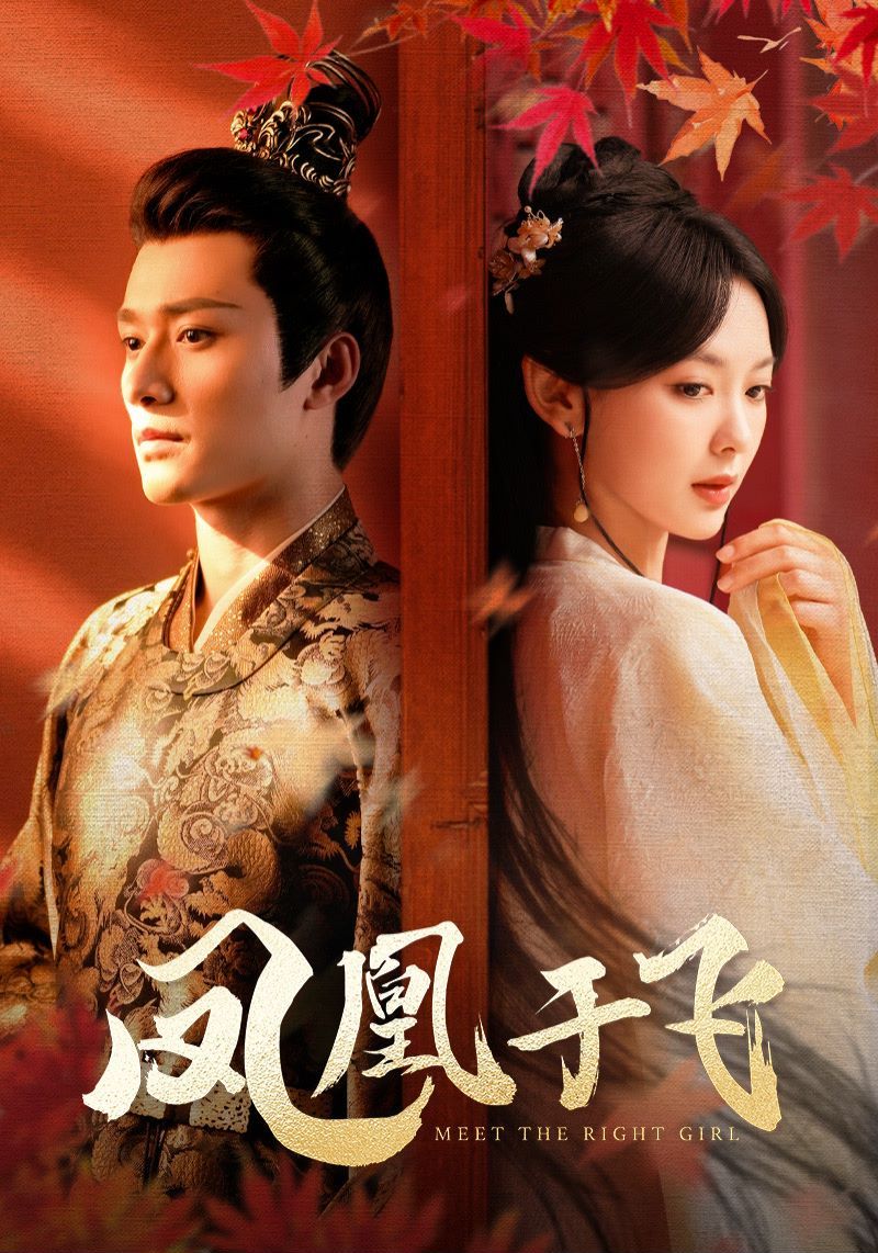 凤凰于飞第21-40集