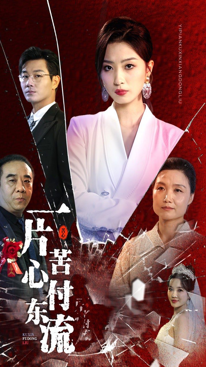 一片苦心付东流（女儿的荣耀）第1-20集