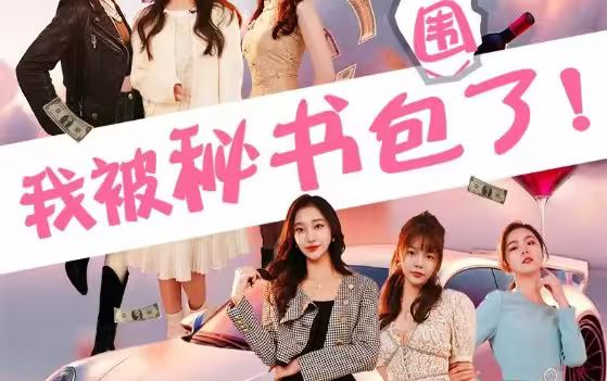 我被秘书包围了第31-60集