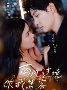 南风国境你我皆客第21-40集