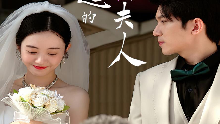 了不起的萧夫人第21-40集