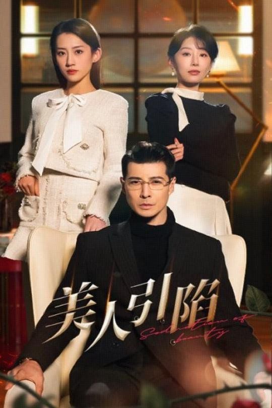 美人引陷第1-20集
