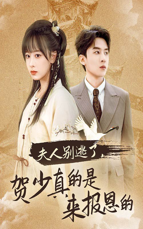 夫人别逃了贺少真的是来报恩的第41-63集完结(大结局)