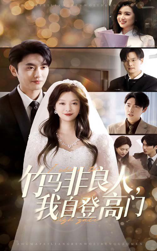 竹马非良人，我自登高门第21-37集完结(大结局)