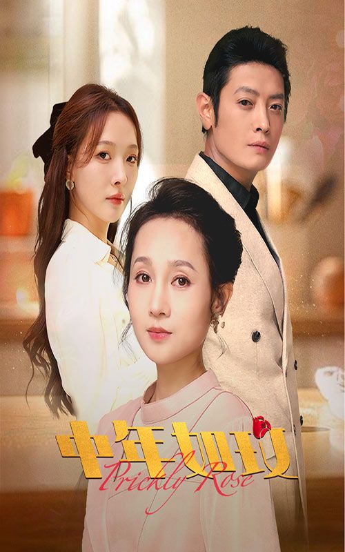 中年如玫第21-40集