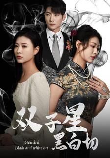 双子星黑白切第21-40集