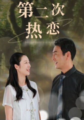 第二次热恋第41-48集完结(大结局)