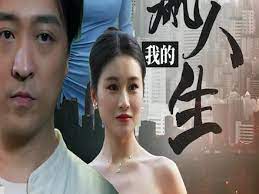 我的巅峰人生第31-60集