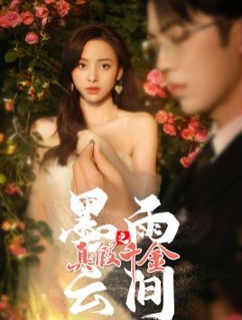 墨雨云间之真假千金第1-20集