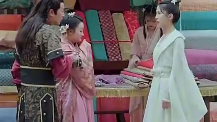 欢颜知君心第21-40集