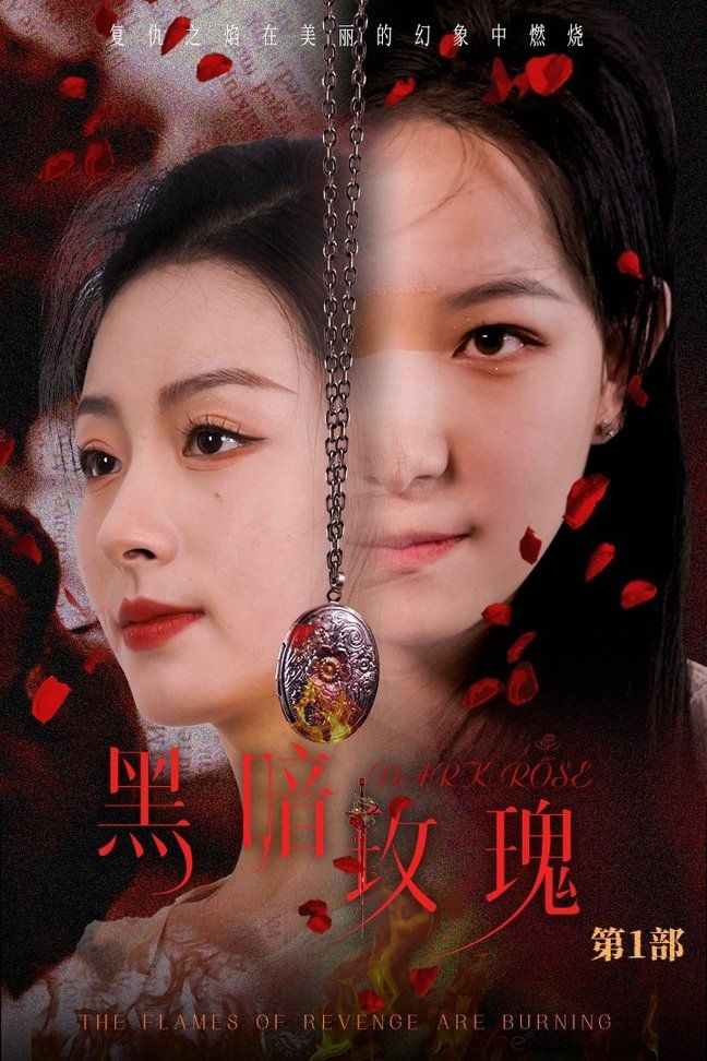 黑暗玫瑰第21-40集