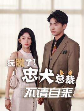 玩脱了忠犬总裁不请自来第21-40集