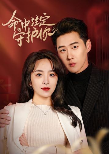 命中注定守护你第1-20集