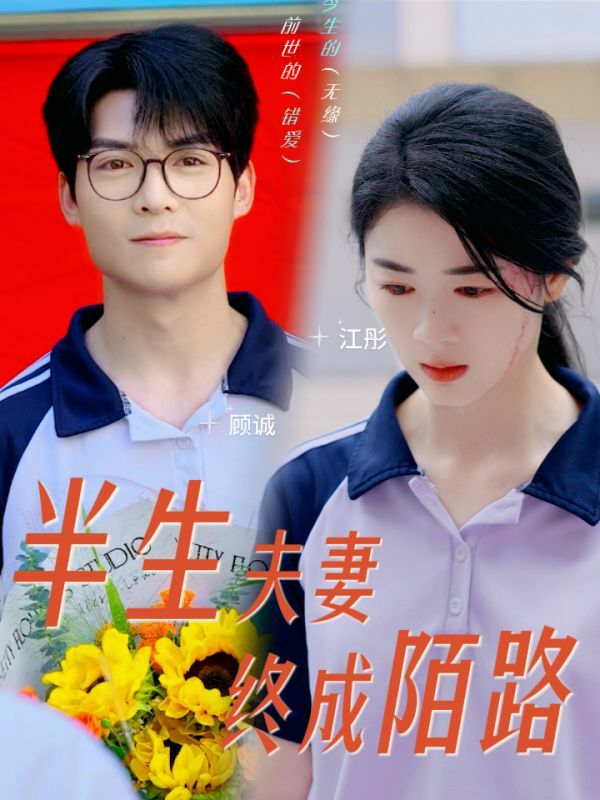 半生夫妻终成陌路第21-40集