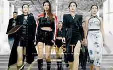 无双傻婿第41-60集